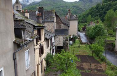 Suite avec vue panoramique sur la Truyère - Photo 21