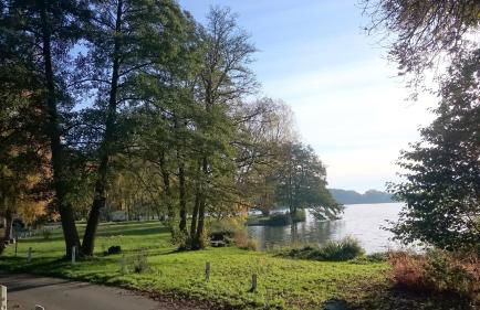 Mobilheim am See - Foto 8