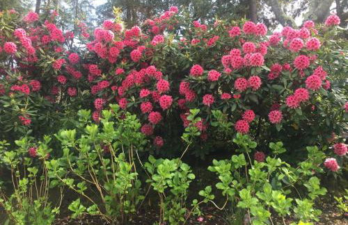 Quinta do Troviscal - Foto 10