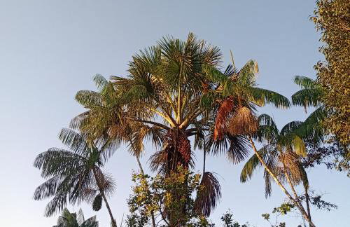 Chácara Celebrare - Photo 7