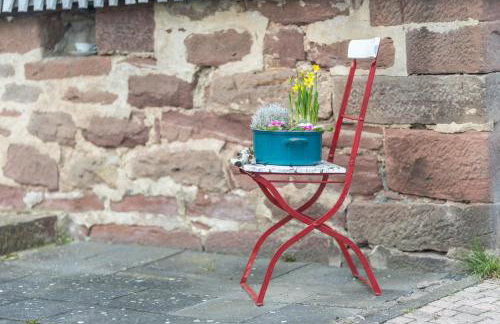 Mittendrin - Photo 5