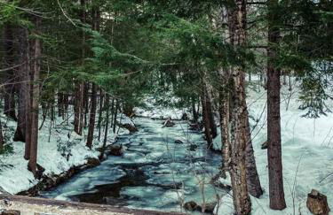 The Brookside Lodge & Cottage - Foto 36