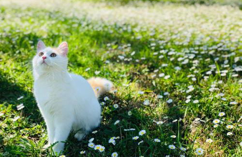 Podere Bellavista - Foto 79