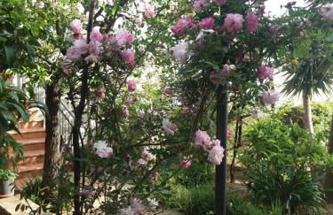 La casa del Maestro - Foto 53