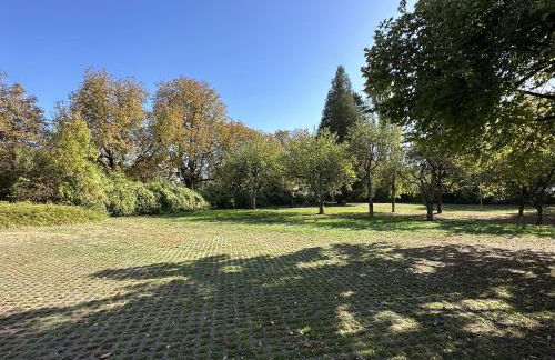 FIDSCHI'S Apartment + Hotel - Photo 8