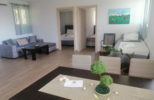 ΚΤΗΜΑ ΠΑΥΛΟΜΠΕΗ OLIVE & SEA - Foto 11