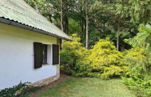 Domek w Lesie Bory Tucholskie - Foto 3