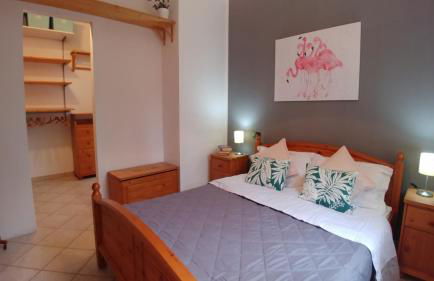 Ai fenicotteri - Foto 2