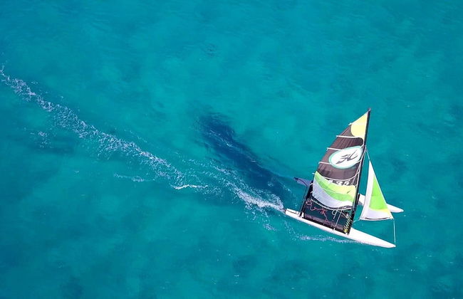 Club Ciudadela Aparthotel - Foto 17