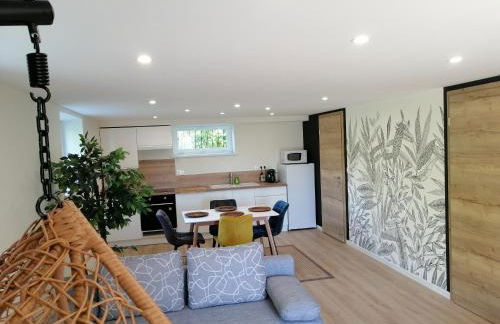 Maison Privilège Nature à La Petite Pierre - Foto 39