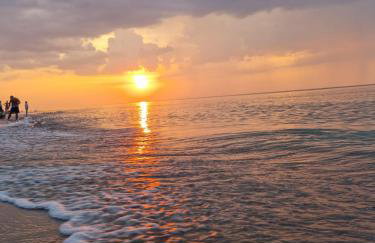 Domki GAMA - Photo 35