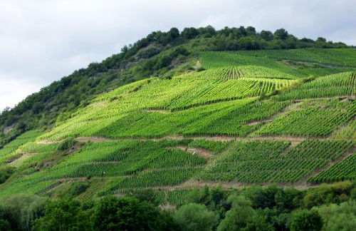Relaxen im alten Winzerhaus Fewo EG - Foto 62