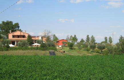 Agriturismo Consalvi - Foto 65