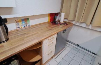 Private 1-2,5 -Zimmer-Wohnung mit Terrasse - Foto 33