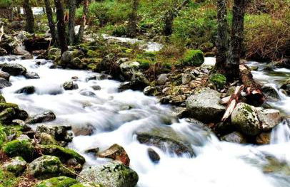 Chalet Pinara - Photo 34