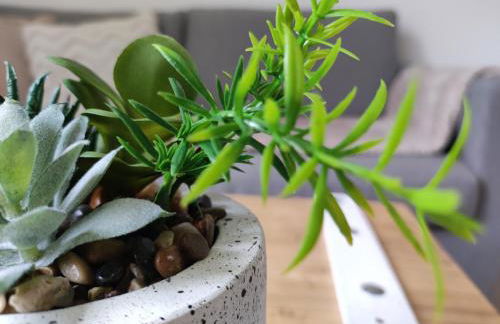 Résidence Manivi - Photo 24