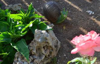 Ammos Apartments - Foto 39