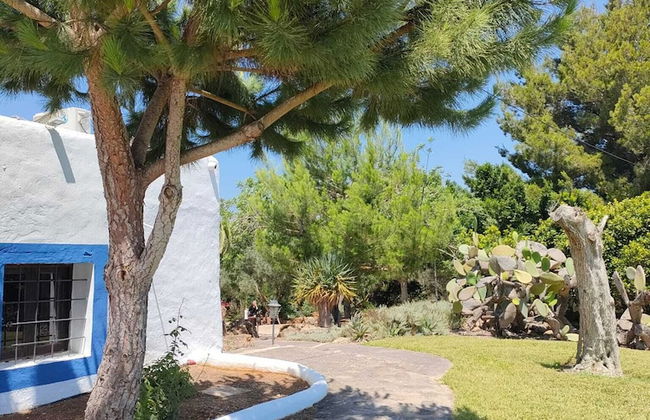 Agroturismo Can Marquet - Foto 75