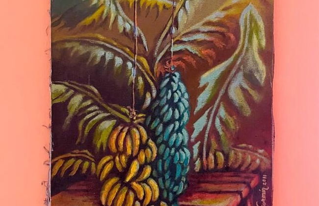 Casa Durazno - Beautiful 3 Bed in Santo Domingo - Foto 3