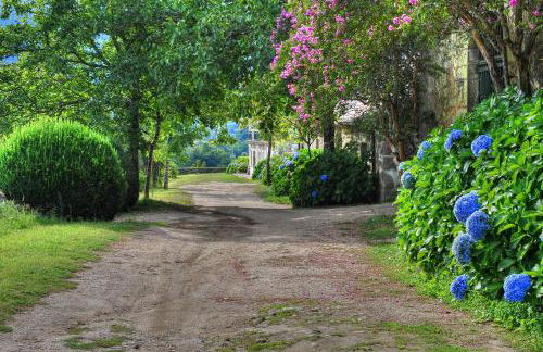 Quinta de Luou - Photo 35