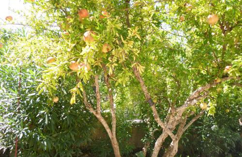 Kostas studios - Foto 27