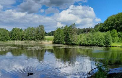 Fewo Waldtherme Relaxen, wandern, Radfahren - Foto 37