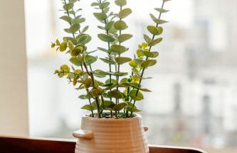 Weston's Penthouse sleep 11, 8 Beds Free Parking - Foto 35