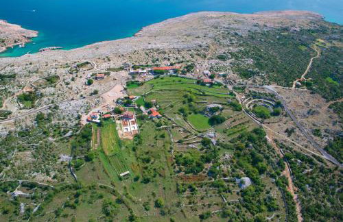 Oak Meadow Apartment - Photo 53