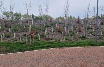 Solid Mirror Home Milton Keynes - Foto 6