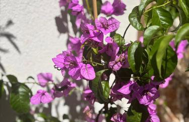 Villa Olea Mare - Mediterranean Comfort and Style - Foto 23