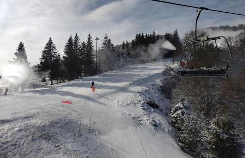 Chalet Emma appartement tout équipé et refait a neuf dans une résidence 3 étoiles - Photo 57