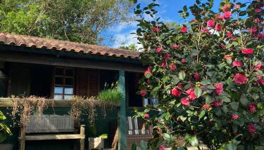 Um Chalé aconchegante no sítio em meio a natureza. - Foto 3, Garden view