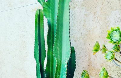 Air-conditioned authentic village house with sea view, terraces and swimming pool - Foto 46