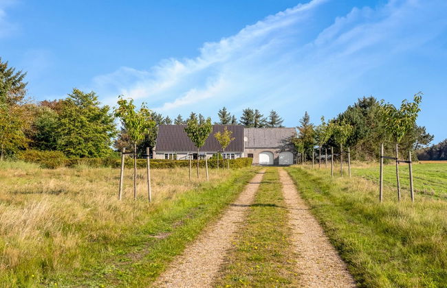 "Merrit" - 4.6km to the fjord - Foto 7