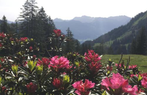 AUSZEIT - Ferienwohnungen in Obermaiselstein - Foto 46