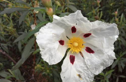 Casa Rural El Chorritero - Foto 28