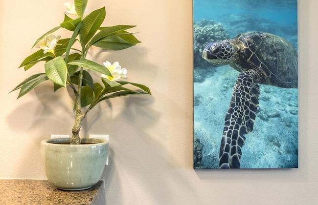 Halii Kai HLI-19G by KBM - Foto 23