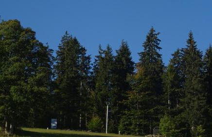 Apartment Almberg - Foto 68