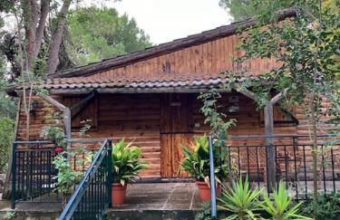 Vivienda Pantano de San Juan - Foto 40