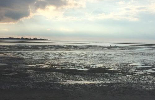 La Terrasse - Foto 11