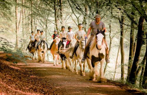 Nengshof Ferienwohnung Wildrose - Foto 37