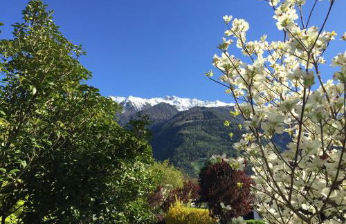 Haus Schweitzer - Naturns - Foto 17