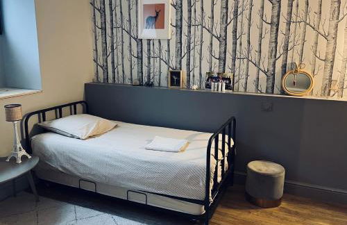 Family house Bordeaux centre, pool, garden, air conditioning - Foto 18