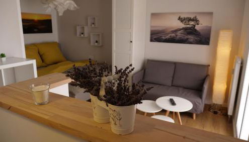 Ferienwohnung Gottleubapark Apartment II - Foto 3