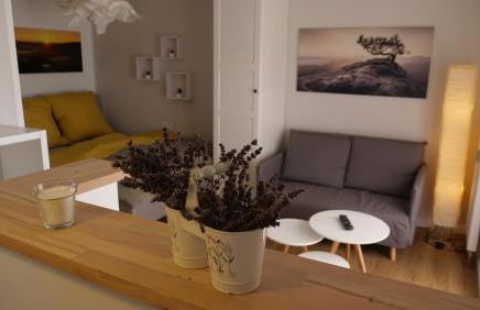 Ferienwohnung Gottleubapark Apartment II - Photo 3