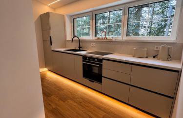 LifeStyle Apartments am Steinsberg, Self Check In, Terrasse, Burg Blick - Photo 23