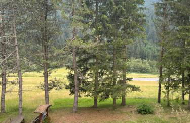 Mazzin Raggio di Sole - Foto 48