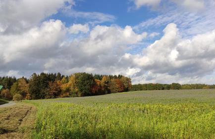 WEIßE HÖHEN -Ferienhaus, Dibbersen bei Hamburg - Foto 39