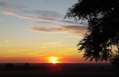 Ninho Da Poupa - Foto 38