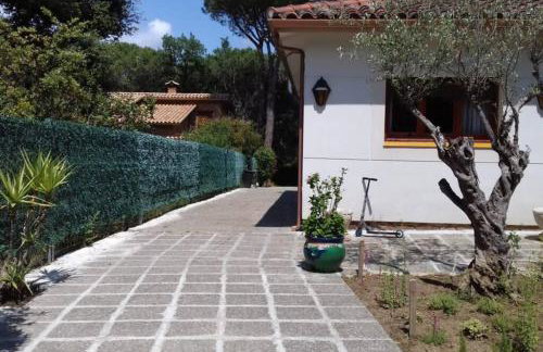 Casa en Parque Natural del Montseny. - Foto 18